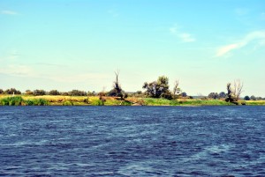 sm_DSC_0469