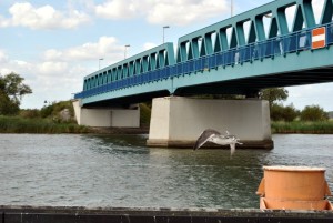 sm_DSC_0717