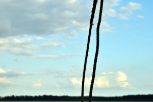 sm_DSC_0732