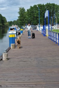 sm_DSC_0061