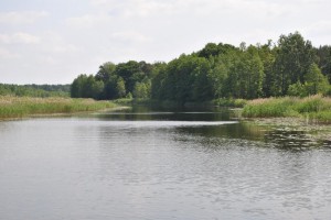 sm_DSC_0076
