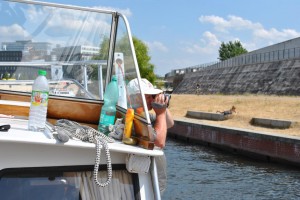 sm_DSC_0146