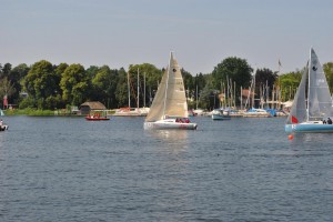 sm_DSC_0197