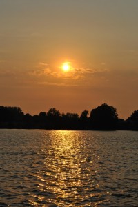 small_DSC_0001