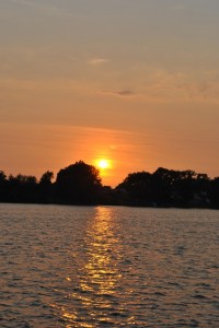 small_DSC_0018