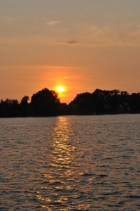 small_DSC_0019
