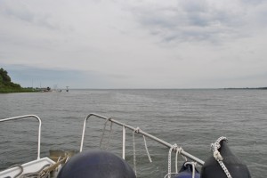 small_DSC_0025