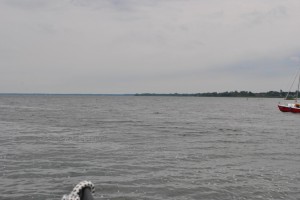 small_DSC_0027