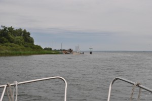 small_DSC_0028