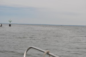 small_DSC_0030