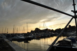 small_DSC_0036
