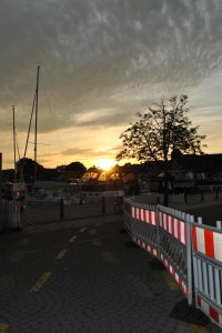 small_DSC_0038