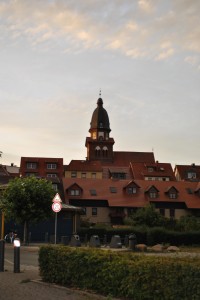 small_DSC_0047