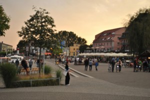small_DSC_0049