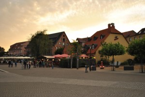 small_DSC_0050