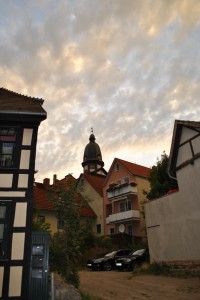 small_DSC_0053