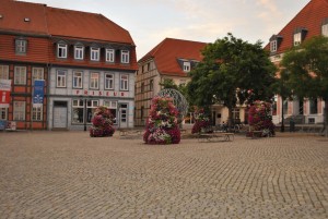 small_DSC_0059