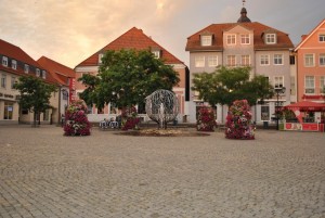 small_DSC_0062