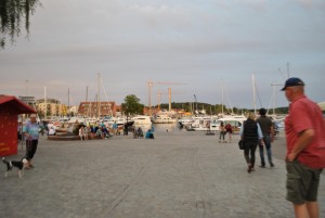 small_DSC_0072