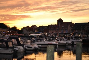 small_DSC_0079