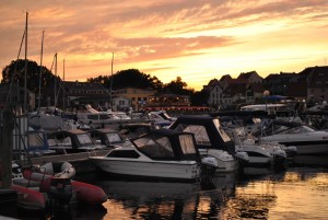 small_DSC_0080