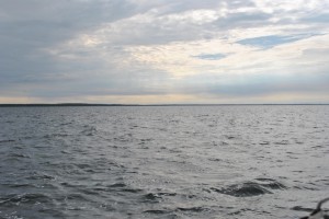 small_DSC_0094