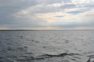 small_DSC_0095