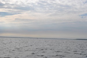 small_DSC_0096