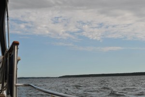small_DSC_0097