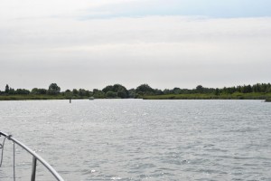 small_DSC_0100