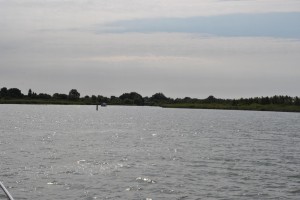 small_DSC_0104