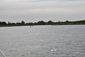 small_DSC_0105