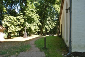 small_DSC_0106