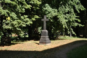 small_DSC_0107