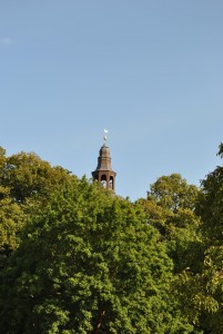 small_DSC_0108