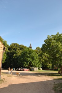 small_DSC_0109