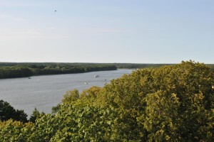 small_DSC_0124