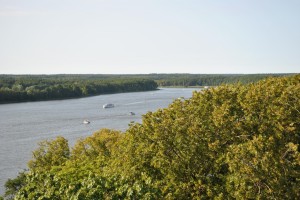 small_DSC_0125