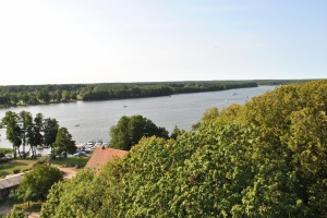 small_DSC_0126