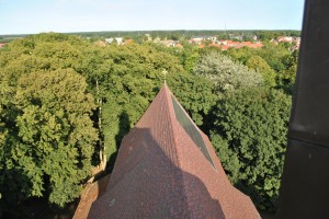small_DSC_0128