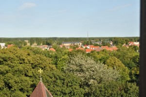 small_DSC_0129