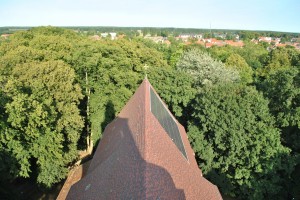 small_DSC_0130