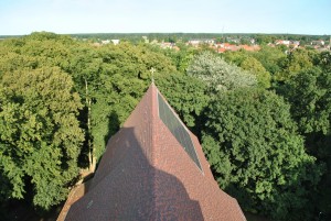 small_DSC_0131