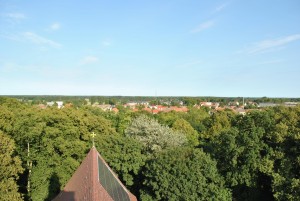 small_DSC_0132