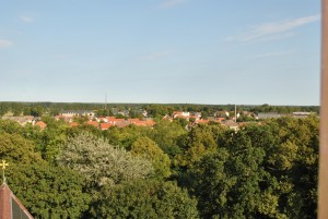 small_DSC_0133