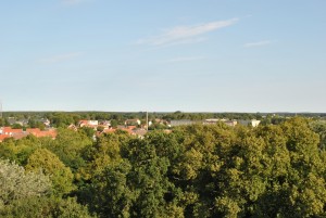 small_DSC_0134