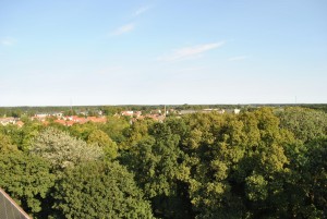 small_DSC_0135