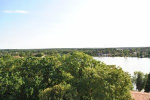 small_DSC_0136