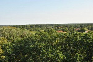 small_DSC_0137