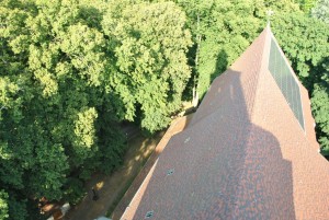 small_DSC_0139